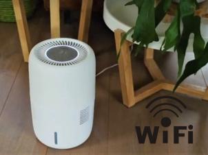 Gaisa mitrinātājs Oasis 303 Wifi