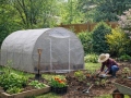 Folieväxthus ALBO 3x6 m