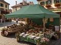 3x6 m ST-HEX45 su sienomis