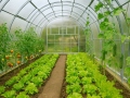 4x4 m AGROMAX 10mm