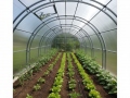 4x4 m AGROMAX 10mm