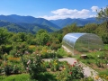 4x4 m AGROMAX 10mm