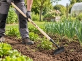 Garden Hoe 25 cm