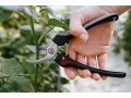 pruning-shear-12-mm-1