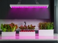 Fitolampa 225 LED
