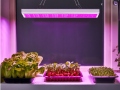 Fitolampa 225 LED