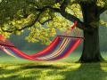 hammocks-colombia-1