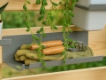 plaukts-greenwall-7