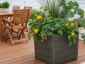 Blomkruka TEAK S