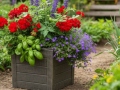 Blomkruka TEAK S