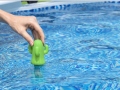 Pool thermometer Cactus