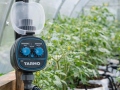 Timer irrigation Tarmo