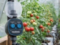 Timer irrigation Tarmo