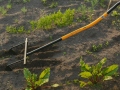 handpflug-furchenzieher-1