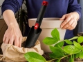 transplant-trowel-solid-narrow-3