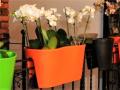 pu-u-pods-balcone-duo-11