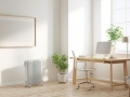 Alyvos radiatorius 2500 W