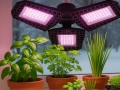 Fitolempa 108 LED