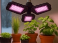 Fitolempa 108 LED