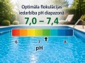Flokuliantas 1 kg 8 vnt