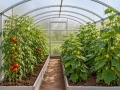 3x4 m Gardener'300 4mm
