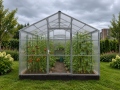 Greenhouse 3x4 m VICTORIA Line 4mm