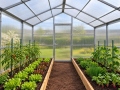 Greenhouse 3x4 m VICTORIA Line 4mm