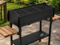 Grill mit Ablagen Universal