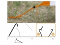 short-ground-stake-4x180-mm-3