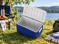Термоконтейнер Deluxe 71L