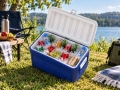 Термоконтейнер Deluxe 71L
