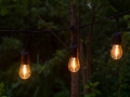 LED virtene CW-20 S14 Classic