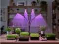 Fitolempa 4x20 LED