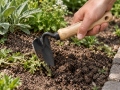 Hoe-Trowel