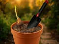transplant-trowel-solid-1