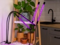 Fitolampa 2x20 LED