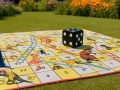 lauko-aidimas-cirkas-1x1m-2