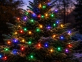 LED girlianda BLACK MULTI-576