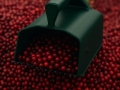 Prietaisas uogų rinkimui BerryMaster