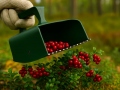 Prietaisas uogų rinkimui BerryMaster