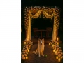 wedding-and-party-decoration-1-6x5m-13
