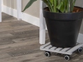 plant-trolleys-greysquarel-1