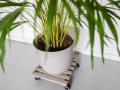 plant-trolleys-greysquarel-3