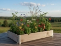 Holzhochbeet 120x80x19