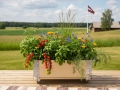 Holzhochbeet 60x40x19
