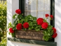 Blomkruka PLANIKA XL