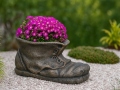 g-li-vazonas-shoe-9
