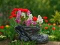 g-li-vazonas-shoe-1