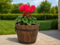 flower-pots-antique-8x11-cm-11