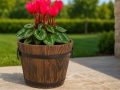 pu-u-pods-antique-11x11-cm-11